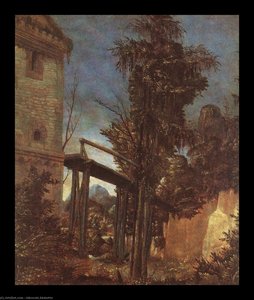 Landscape With Path — Albrecht Altdorfer