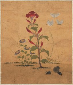 Grass And Insects — Shin Saimdang