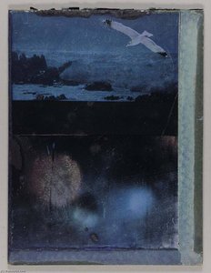 Untitled (seagull In Flight Over Rocky Seashore) — Joseph Cornell