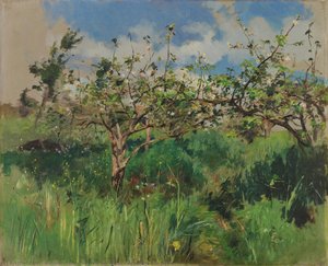 Apple Tree In Flower — Silva Porto
