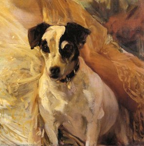 Портрет Джак Расселль — Joaquín Sorolla