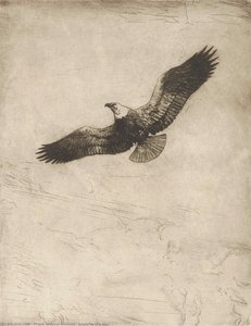 Eagle In The Sky — Frank Weston Benson