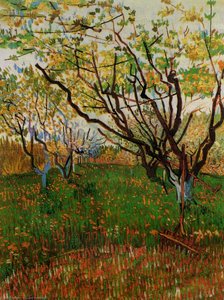 Orchard I Bloom — Vincent Willem Van Gogh