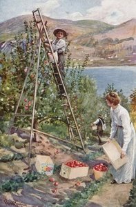 A Fruit Ranch At Nelson — Harold Copping