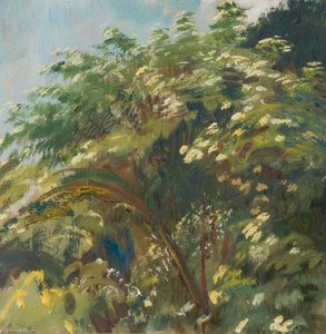 Studio Di Fiori Di Sambuco — Sir Alfred James Munnings