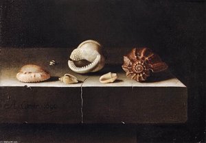 Five Shells On A Slab Of Stone — Adriaen Coorte