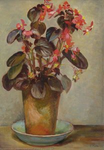 Begonia In A Flower Pot — Kathleen Cicely Melzi