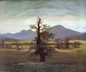 Albero Solitario Nel Paesaggio — Caspar David Friedrich