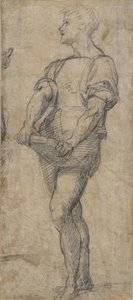 Standing Youth Holding A Book — Andrea Del Sarto