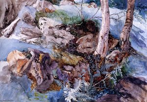 Study Of The Rocks And Ferns Crossmouth — John Ruskin