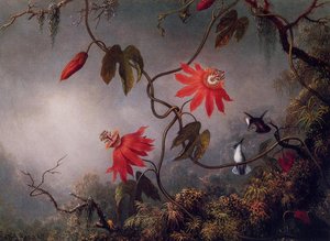 Passion Flowers And Hummingbirds — Martin Johnson Heade