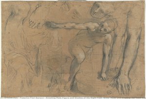 Figura Masculina Arrodillada Y Estudios De Su Pie Derecho, Brazos, Cabeza Y Drapeado (para La “última Cena”, Urbino, Catedral De Santa Maria Vergine Assunta) — Federico Fiori Barocci