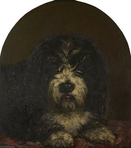 Head Of A Dog — Patrick Allan Fraser