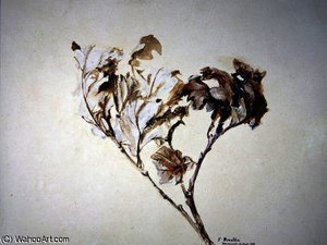 Study Of Oak Leaves — John Ruskin