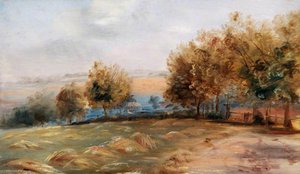 Haling Clumps, Croydon, Surrey — Walter William Acock