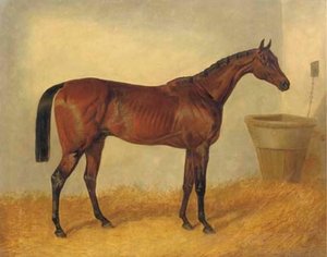 Merry Monarch, A Bay Mare, In A Stable — John Frederick Herring Senior