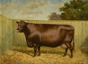 Lincoln Red Cow — William Albert Clark