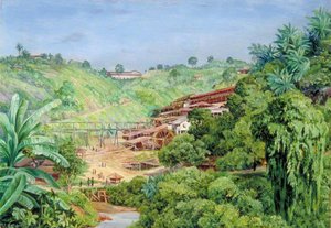 Privire Asupra Fostelor Mine Aurii De La Vila Nova Paulista, Brazilia — Marianne North