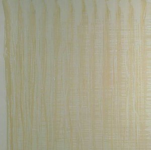 Untitled (drab) — იან დავენპორტი