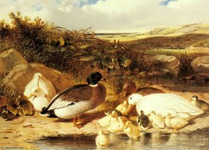 Mallard Ducks And Ducklings On A River — John Frederick Herring Junior