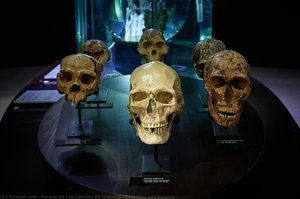 Evolution And Balance — Parque De Las Ciencias De Granada