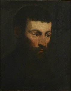 Head Of A Bearded Man — Jacopo Tintoretto