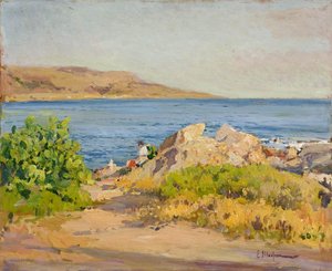 Paisaje De Costa — Eliseo Meifrèn I Roig