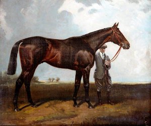 'night Hawk' — James Lynwood Palmer