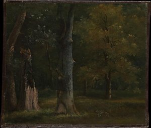 Trees In The Bois De Boulogne, Paris — Achille Etna Michallon