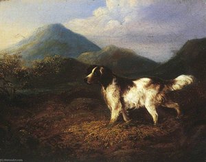 A Setter — Charles Henry Schwanfelder