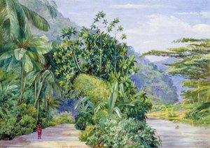 The Bog Walk, Jamaica, With Bread Fruit, Banana, Cocoanut And Other Trees — Marianne North