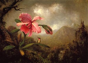 Orchid And Hummingbird Near A Mountain Waterfall — मार्टिन जॉनसन हेड
