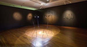 Memory Of The Blind Elephant — Nguyễn Phương Linh