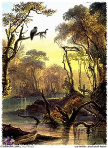 Sharper Native Americans (11) — Karl Bodmer