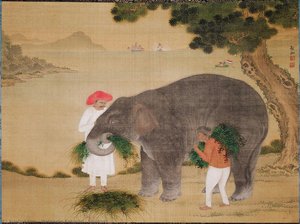 Elephant