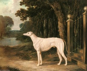 Vandeau A White Greyhound — John Frederick Herring Junior