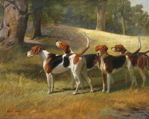 Foxhounds — Adrian Jones