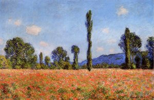 Campo de Amapolas