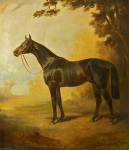 'royal Realm' — James Lynwood Palmer