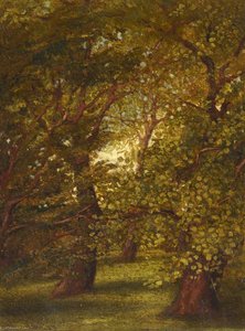 Old Trees In The Garden At Merton Villa — Beatrix Whistler