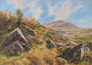 Near Snowdon — Frederick William Hayes