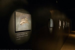 The Scars That Write Us — Chen Yanyun