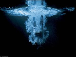 Five Angels For The Millennium — Bill Viola