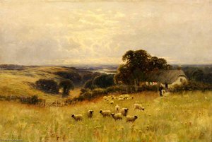 Meadow With Sheep — Sidney Pike