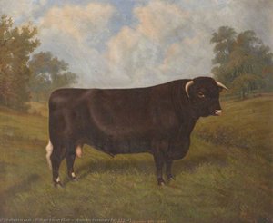'burwain Rosemary Boy 221645' — William Albert Clark
