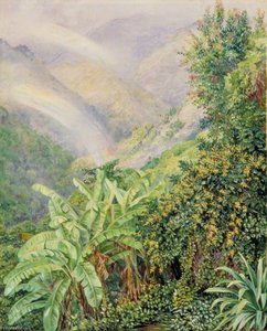 Vue De La Maison De L'artiste En Jamaïque Avec Un Arc-en-ciel Double — Marianne North