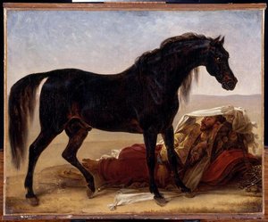 Cheval Arabe — Antoine-jean Gros (baron Gros)