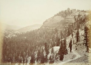 Untitled (aqtdm5) — Carleton Watkins