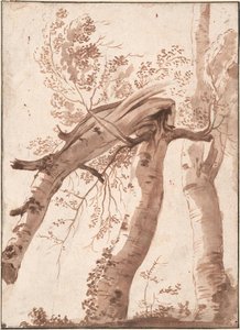 Dos Birches Plateadas, La Delantera Caída, C. 1629 — Nicolás Poussin