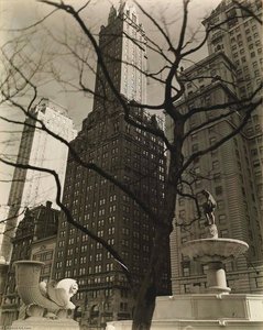 Central Park Plaza, From Fifth Avenue At 58th Street — Береника Аботт